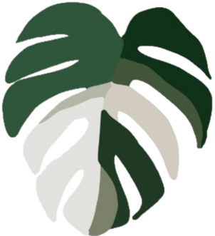 Variegate Growth CiC